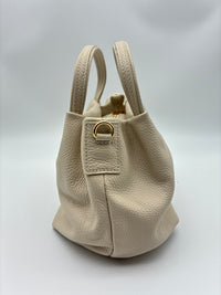 Rosa in Parchment