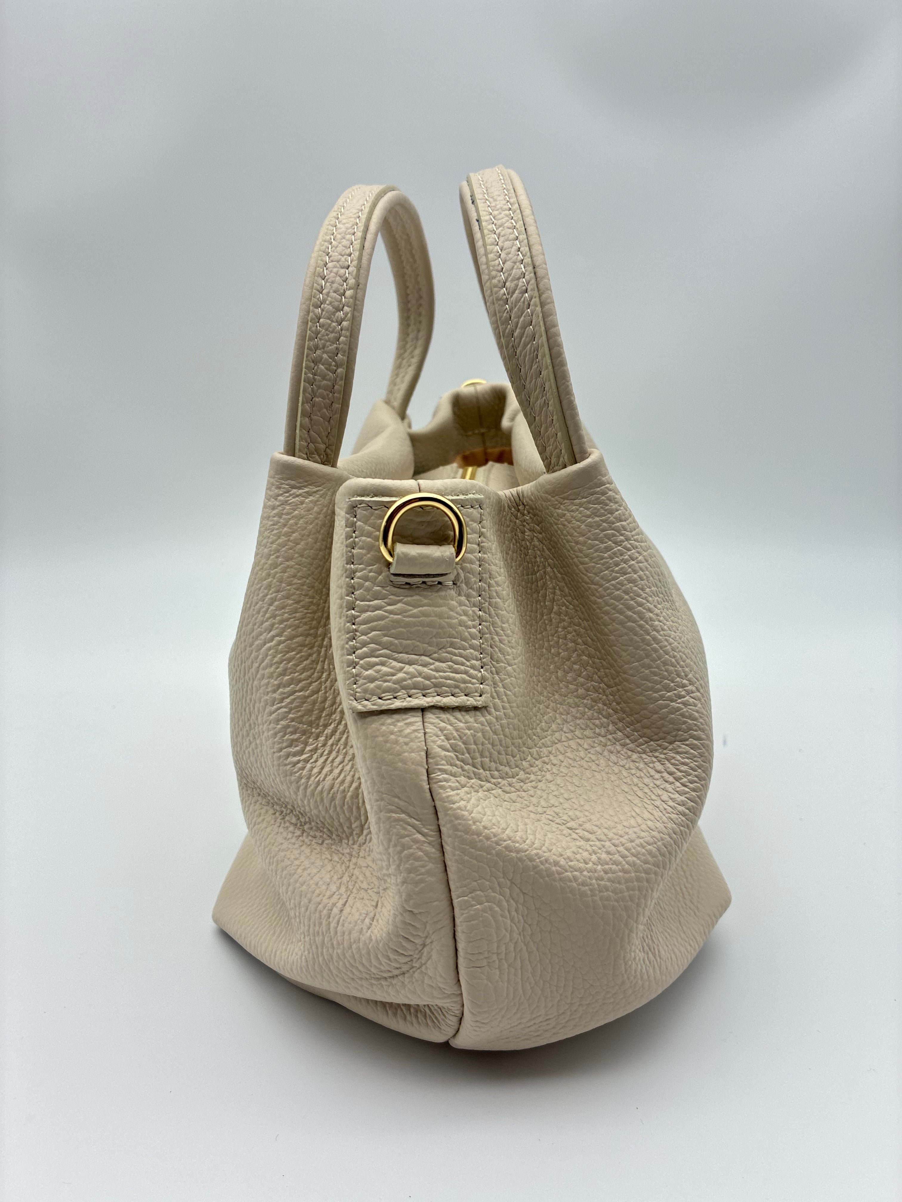 Rosa in Parchment