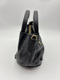 Rosa in Obsidian